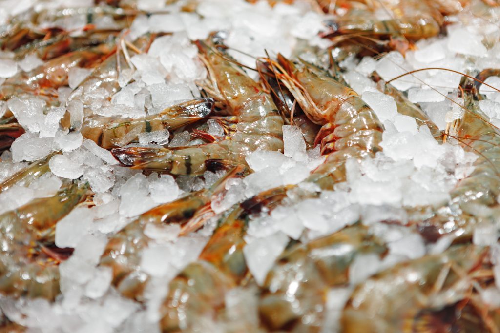 udang