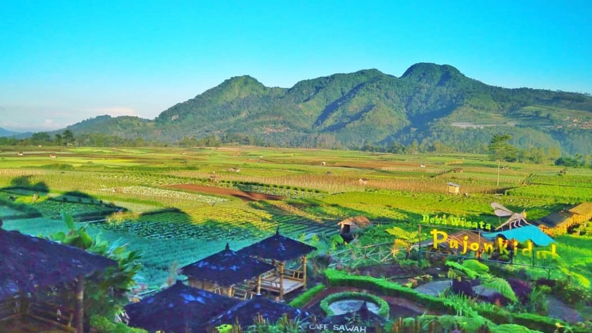 Transformasi Desa Wisata di Indonesia Jadi Destinasi Unggulan Dunia